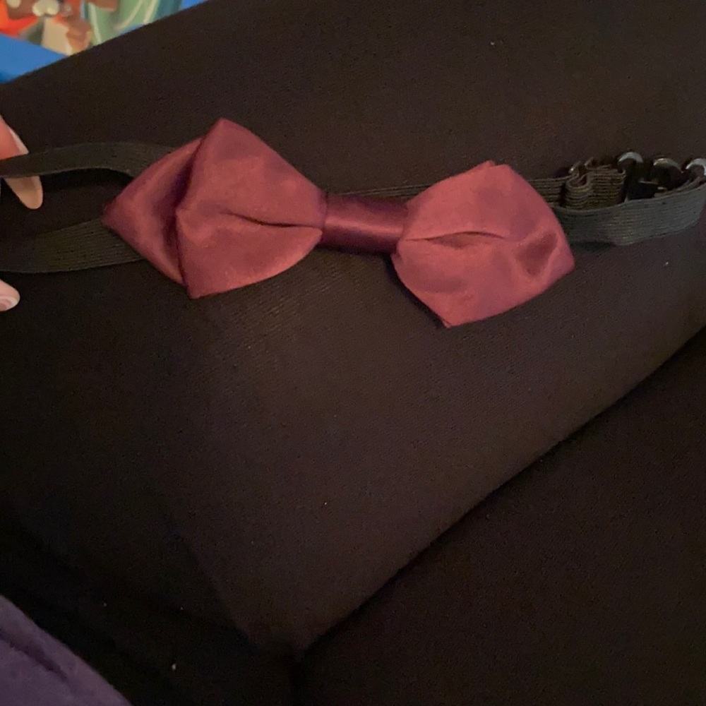 Boys bow tie